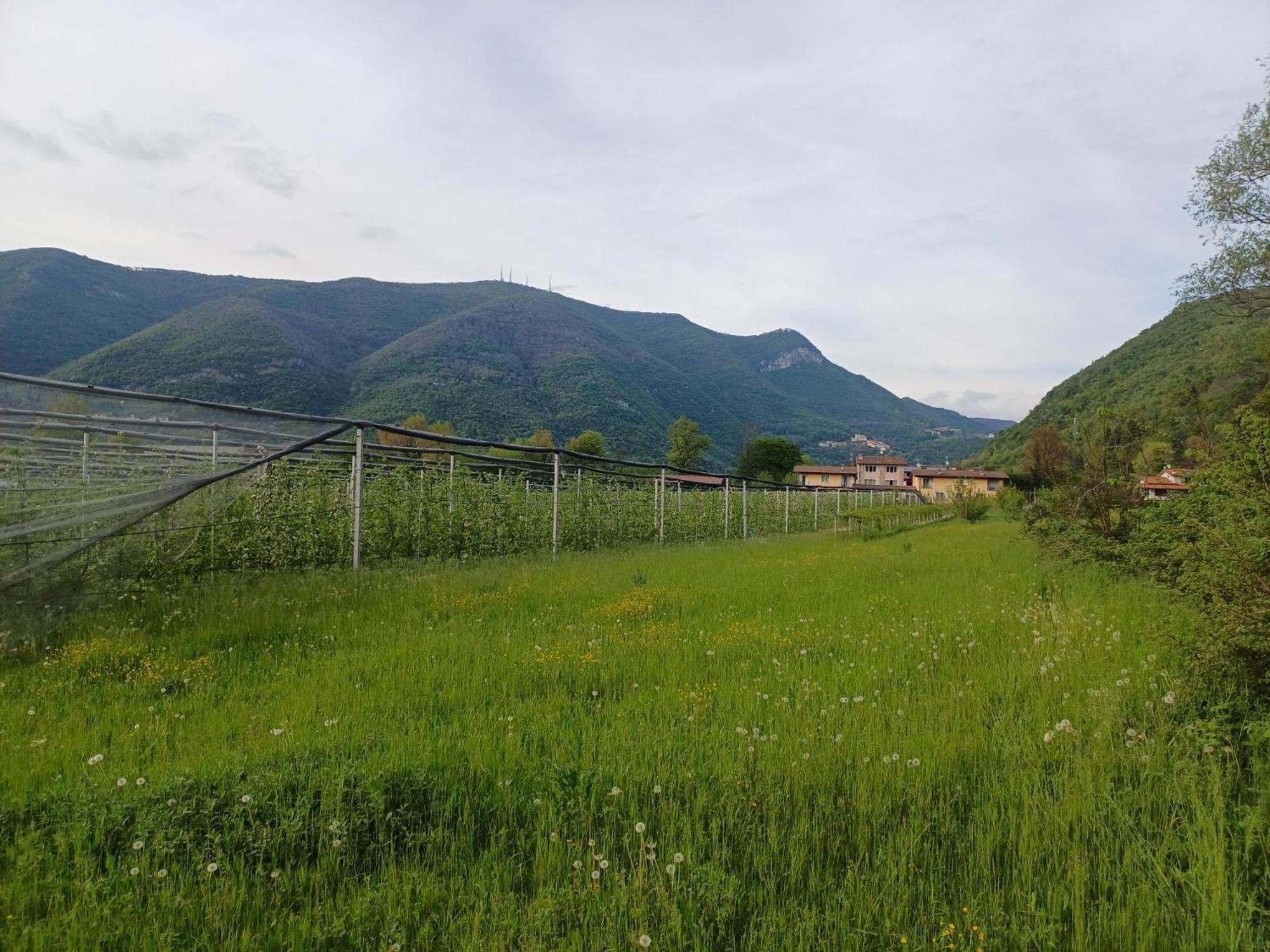 Cascina Legnago Bilocale A 6 Chilometri Da Salo' Lägenhet Villanuova sul clisi Exteriör bild