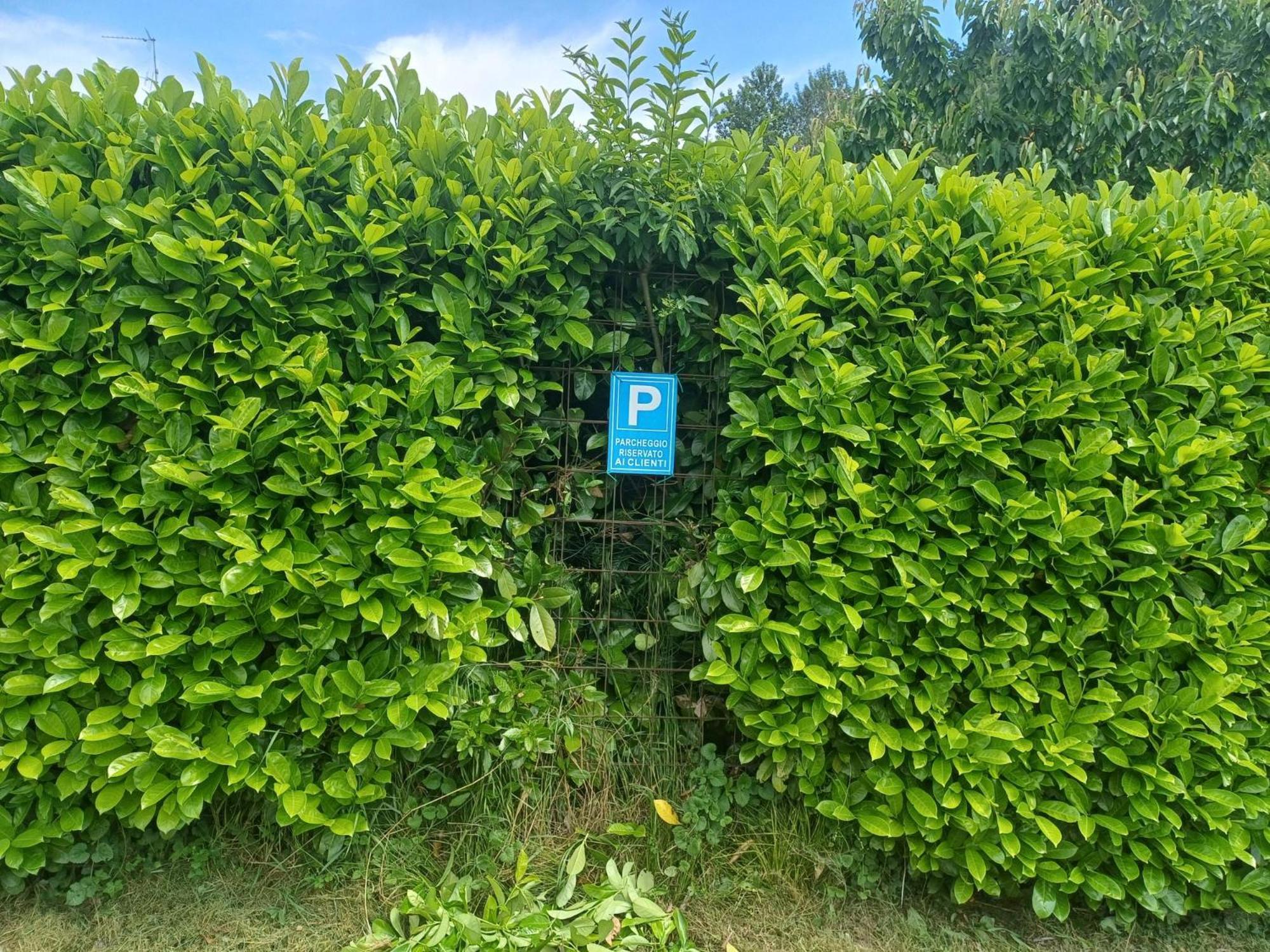 Cascina Legnago Bilocale A 6 Chilometri Da Salo' Lägenhet Villanuova sul clisi Exteriör bild