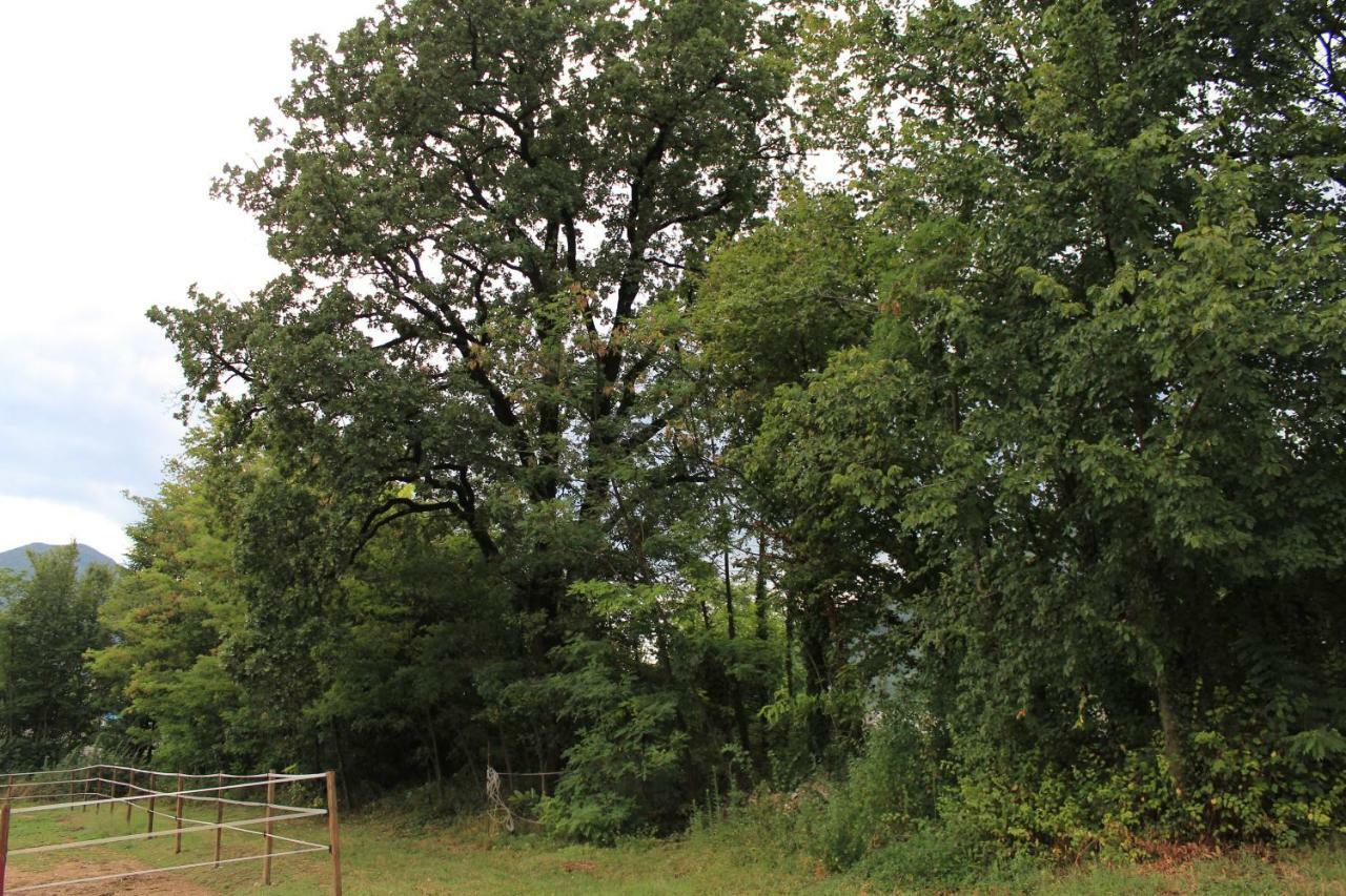 Cascina Legnago Bilocale A 6 Chilometri Da Salo' Lägenhet Villanuova sul clisi Exteriör bild