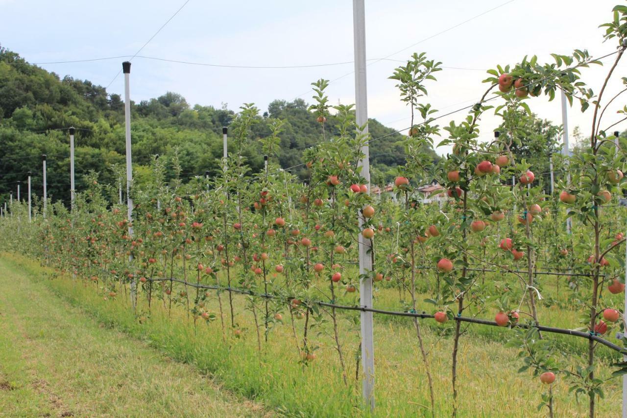 Cascina Legnago Bilocale A 6 Chilometri Da Salo' Lägenhet Villanuova sul clisi Exteriör bild